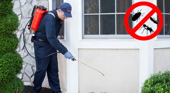 Karacabey Fare İlaçlama böcek ilaçlama ve haşere kontrolü — ilaclama-tr.com